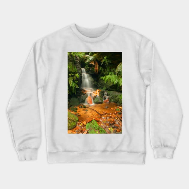 In The Valley of Orange & Green Crewneck Sweatshirt by Michaelm43